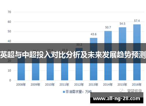 英超与中超投入对比分析及未来发展趋势预测