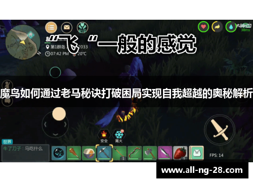 魔鸟如何通过老马秘诀打破困局实现自我超越的奥秘解析