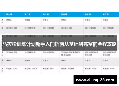 马拉松训练计划新手入门指南从基础到完赛的全程攻略